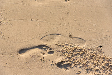 Footprint on the sand of a beach.Thailand.