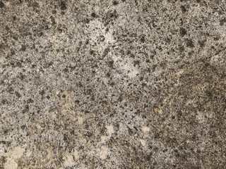 Dirty old floor texture