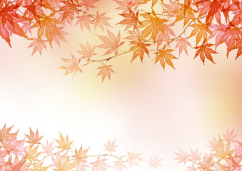 秋 紅葉 背景　水彩 イラスト