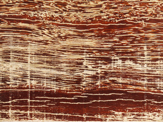 wood texture