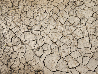 cracks in the ground