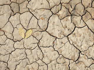 cracks in the ground