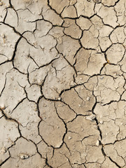 Fototapeta premium cracks in the ground