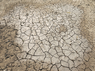 cracks in the ground