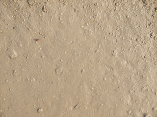 wet mud soil texture