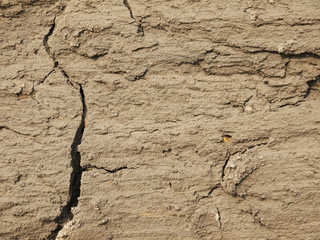 Mud texture: wet cracked ground