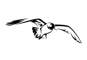 Obraz premium flying seagull black and white vector illustration