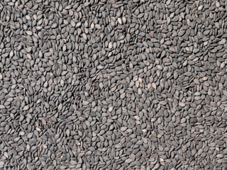 Black sesame seed background