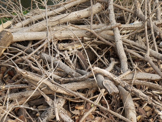 Pile of tree branches composition as a background texture