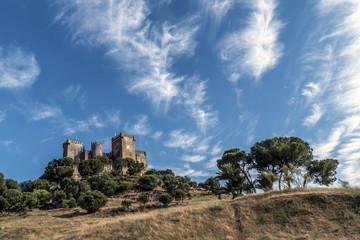 Fototapeta na wymiar Castle of Almodovar del Rio, It is a fortitude of Moslem origin, a Stage of the American producer HBO, for the series “Game of Thrones” take in Almodovar of the Rio, Spain