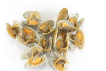 Top view of baby clam isolated or short-necked clam