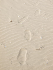 Footprints in the Sand