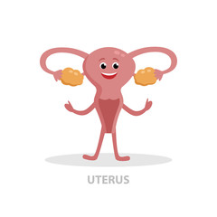 Happy uterus cartoon character vector flat illustration isolated on white background. Good woman health concept icon for medical infographic design.