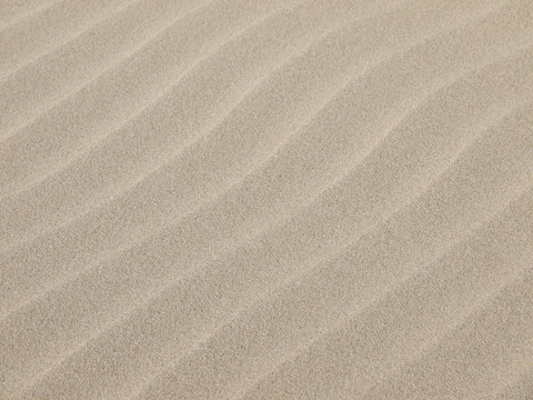 Sand texture.Dented wave of the blow of the wind