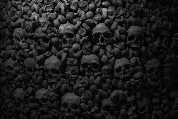 Fototapeta Collection of skulls and bones covered with spider web and dust in the catacombs. Numerous creepy skulls in the dark. Abstract concept symbolizing death, terror, and evil. obraz