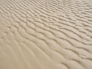 Fototapeta na wymiar sand beach texture wave pattern
