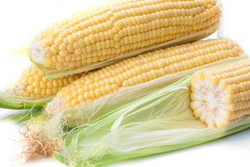Maize