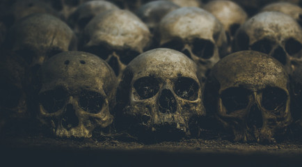 Collection of skulls covered with spider web and dust in the catacombs. Rows of creepy skulls in...