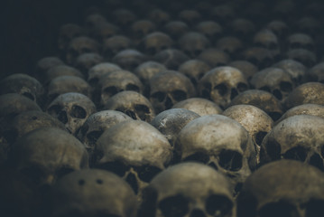 Collection of skulls covered with spider web and dust in the catacombs. Rows of creepy skulls in the dark. Abstract concept symbolizing death, terror, and evil.