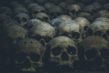 Collection of skulls covered with spider web and dust in the catacombs. Rows of creepy skulls in the dark. Abstract concept symbolizing death, terror, and evil.