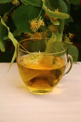 gesundheit mit lindenblütentee