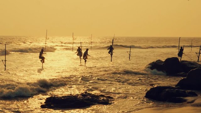 Sri Lanka sea fisherman at work under sunset sunlight. Most popular cultural icon for travelers on the beaches

