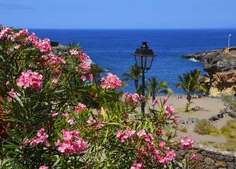 Beautiful coastal view of Playa Paraiso beach with blooming oleander in the foreground on Tenerife,Canary Islands,Spain.Travel or summer vacation concept.
