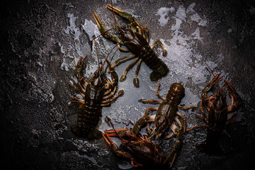 raw crayfish on the stone background.selective  focus