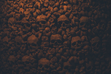 Collection of skulls and bones covered with spider web and dust in the catacombs. Numerous creepy...