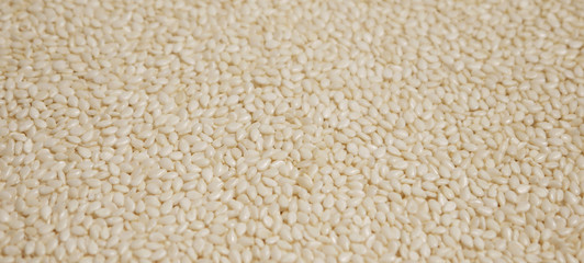 White sesame seed closeup