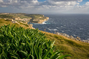 Gozo landscape, view on Xlendi bay and Malta, Mediterranean Sea, winter. shallow depth of field.