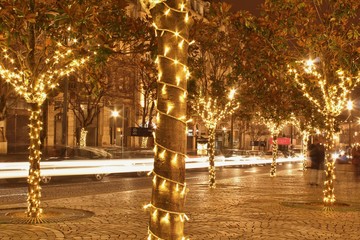 Lights