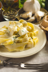 Alfredo Pasta Plate with Creamy Cheese and Basil Sauce