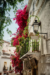 Scenic Marbella streets © Olaf Speier