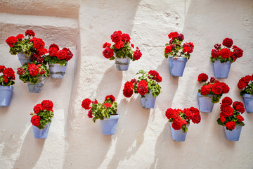 Traditional andalusian wall © Olaf Speier