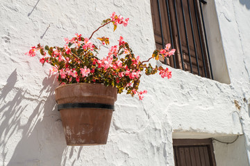 Andalusian street with flower pots