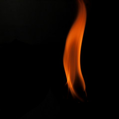 Fire flames on a black background