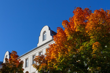 Immobilien Sanierte Fassade, Giebel Herbst Immobilienmarkt Ausbau Dachgeschoss Dachausbau gewinnung Wohnraum wohneigentum miete single haushalt mieten mietbremse grundsteuer studentenwohnung mansarde © Maurice Tricatelle