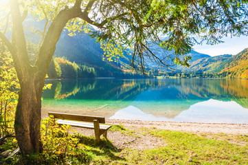 Bench under the tree on the shore of Vorderer Langbathsee lake in Alps mountains, Austria