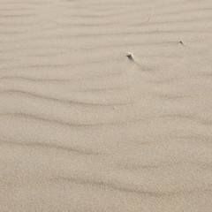 Fototapeta na wymiar sand beach pattern