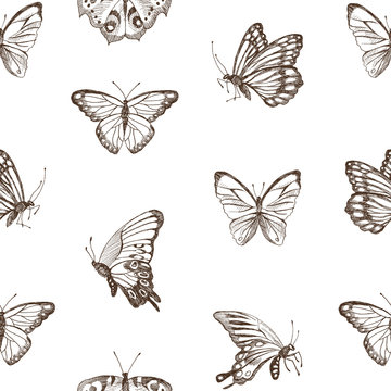 Collection of Hand Drawn brown silhouette butterflies. Vector illustration in vintage style. High detailed hand drawn illustration. Spring theme of butterfly. Vector design