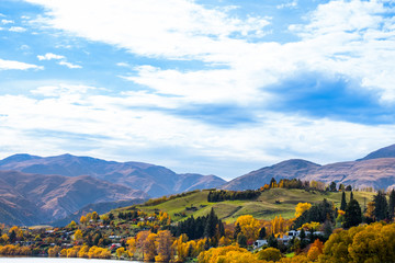 Beautiful landscape of autumn trees and house in a town in rural area.