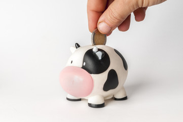 Hand put a 2 euro coin into a cow shaped money box
