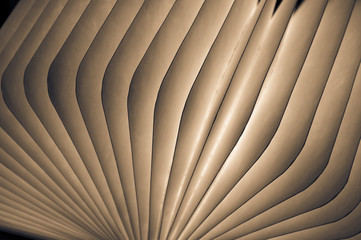Open Book Lamp Macro Art DIY