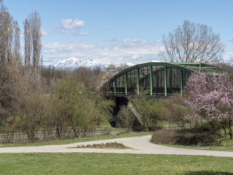 Parco Nord, Milan, at springtime