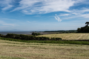 landscape with fields, sea and dollar shaped cloud