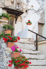 Fototapeta na wymiar Alte Steintreppe mit Topfblumen geschmückt