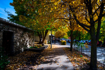 Arrowtown in autumn with colorful trees in the beautiful day..