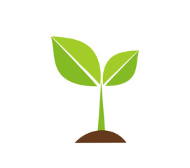 Plant seedling icon