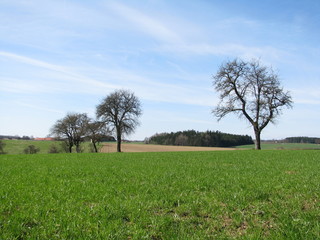 St. Peter In Der Au - Mostviertel - Austria